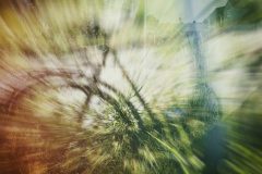 bicycle-3