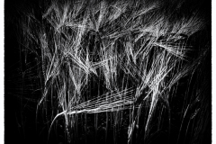 korn-1