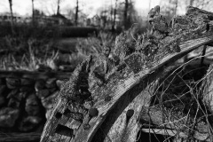 ravage-34