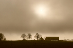 Grey autumn day