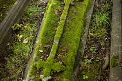 Highgate Cementary
