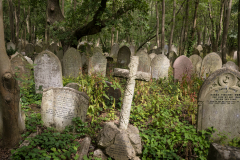 Highgate Cementary