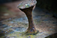 rost-1-7