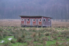 DSC0811-Redigera