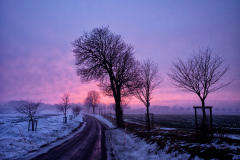 Pink-Landscape