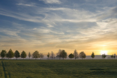 The Avenue of colour