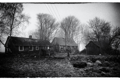 decay-8