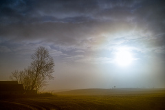Osterlens-light-3