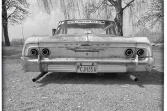 DSC1556-Redigera-Redigera