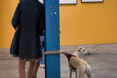 hund-Redigera