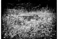 B0001676-Redigera-Redigera