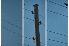 26092013-L1000097-2013-09-26-at-18-06-53_177523-Redigera-Redigera