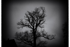 Winter-10