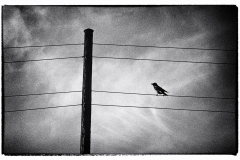 Winter-14