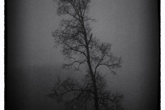 Winter-16