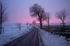 Winter-2