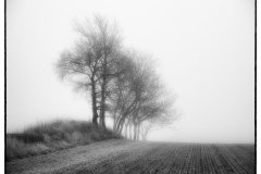 Winter-7