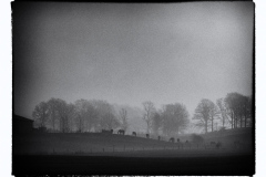 Winter-8