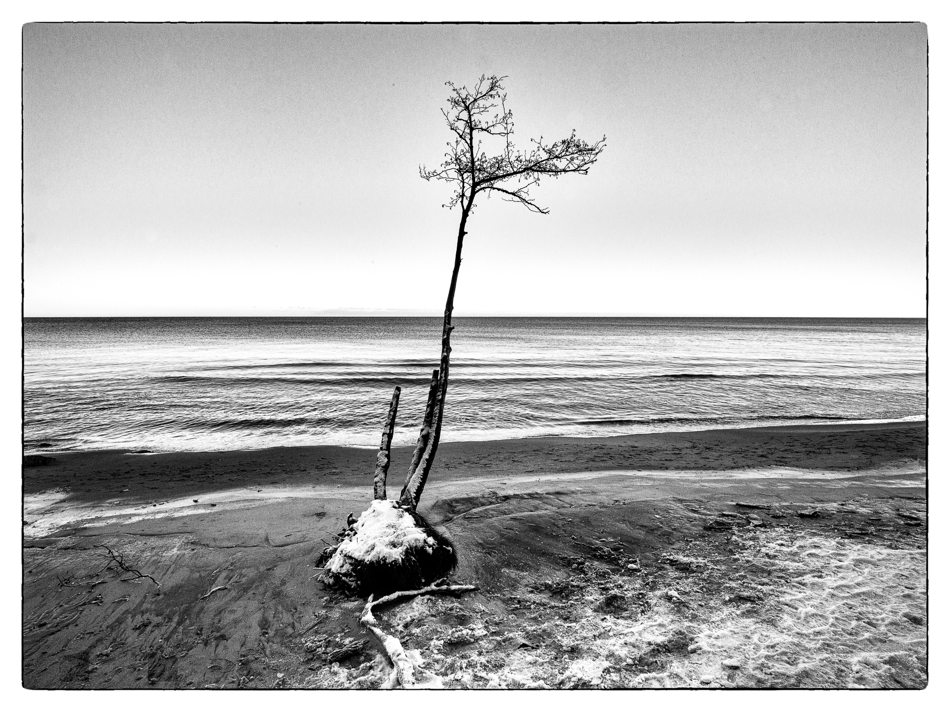 Boxing day beach walk