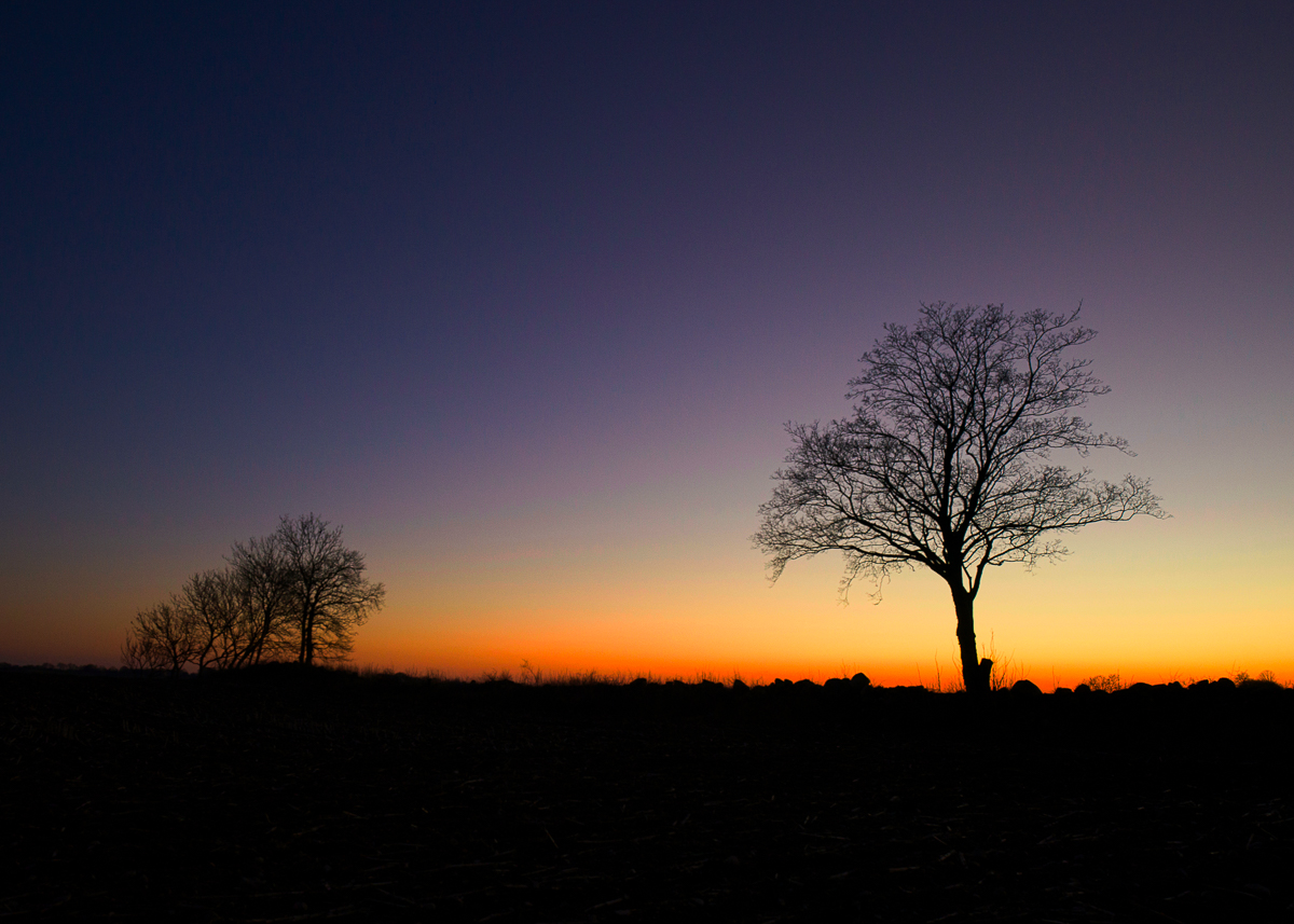 A magic sunset