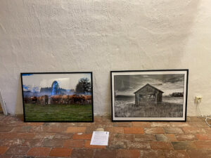 Two of my pictures are at HÖÖRs art gallery