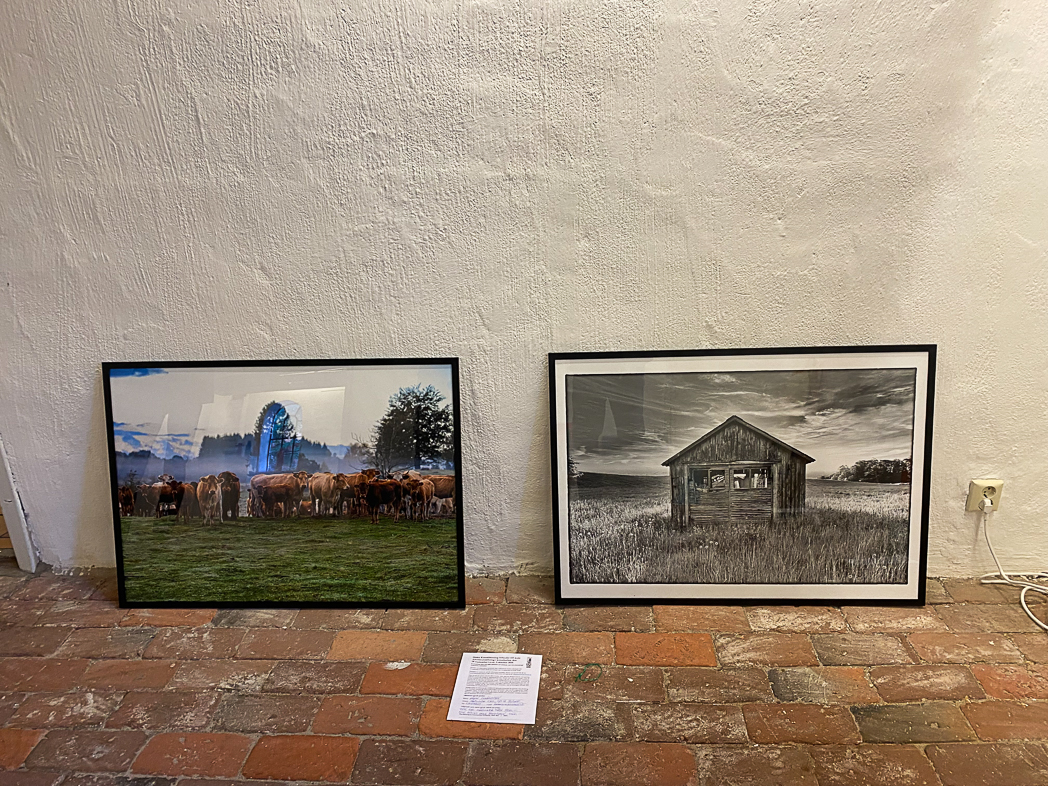 Two of my pictures are at HÖÖRs art gallery