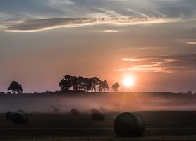 Sunset in paradise