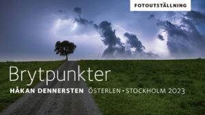 Visit my exhibition in Stockholm 9 – 14 December