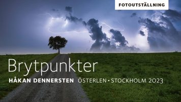 Visit my exhibition in Stockholm 9 – 14 December