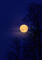 Full moon