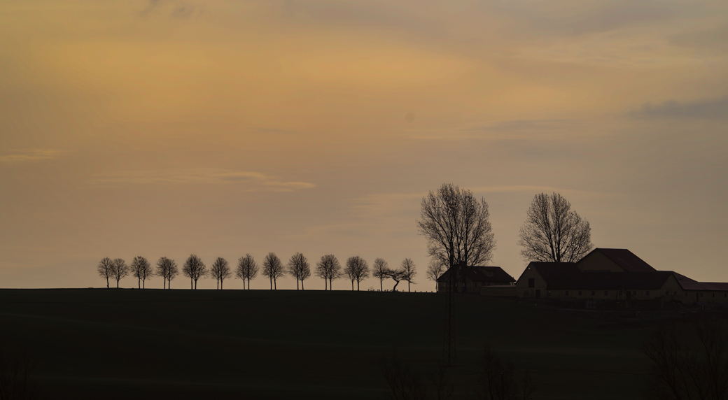 The sunrise season has started
