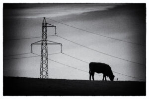 Capturing the Spirit of Fyledalen: A Snapshot of My Upcoming Exhibition