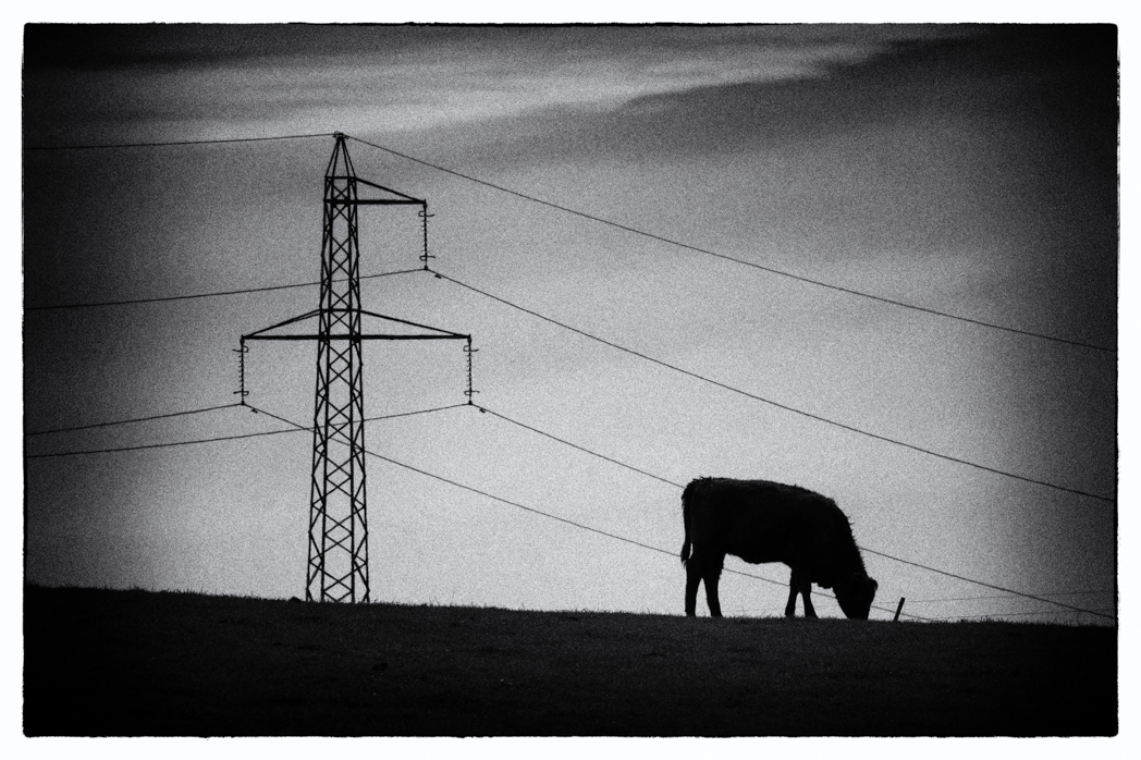Capturing the Spirit of Fyledalen: A Snapshot of My Upcoming Exhibition