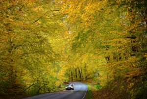The most fantastic Autumn ever