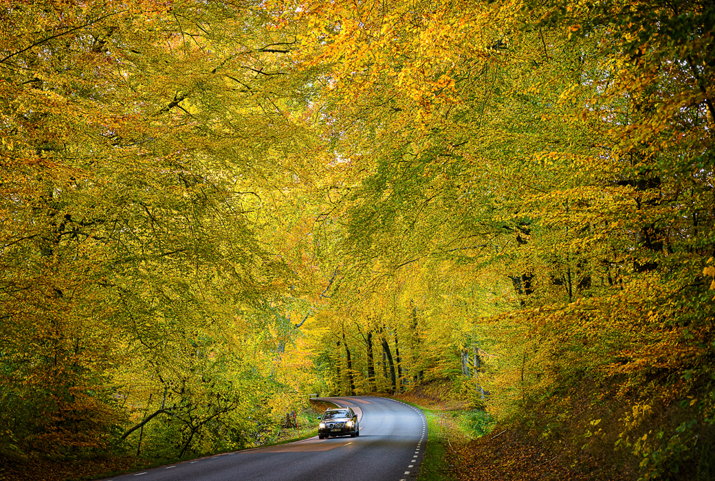 The most fantastic Autumn ever