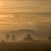 Sunrise over the fields