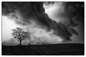 Winter picture over the fileds