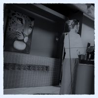 I have begun to experiement with double exposure