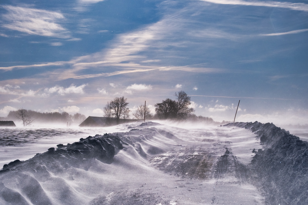 The Bite of Winter