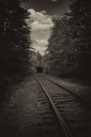 Timeless Tracks: Dog Strolls and Relics at Brösarp Station