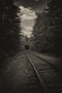 Timeless Tracks: Dog Strolls and Relics at Brösarp Station
