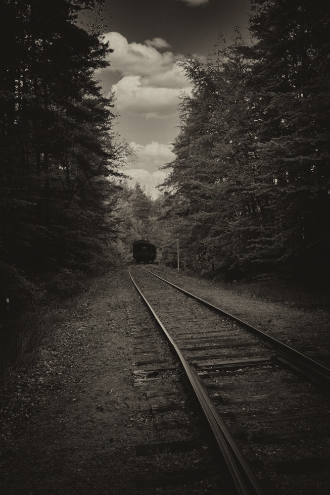 Railway tracks wind through a dense forest toward a distant train car in black and white.